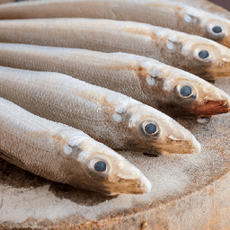 Lady Fish – fresh fish Pakistan