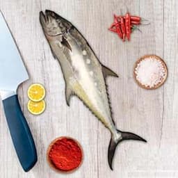 Saram Fish (Queen Fish) – fresh fish Pakistan