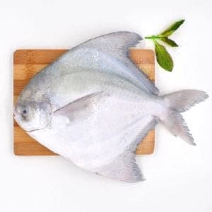 Safaid Paplet (White Pomfret)